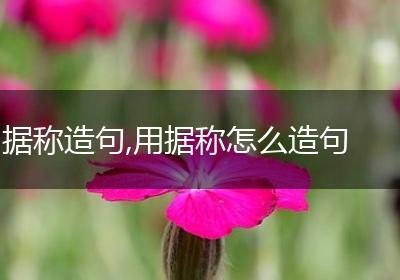 据称造句,用据称怎么造句