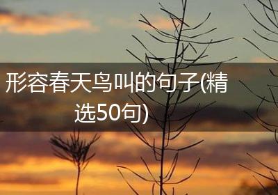 形容春天鸟叫的句子(精选50句)