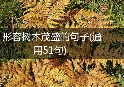 形容树木茂盛的句子(通用51句)