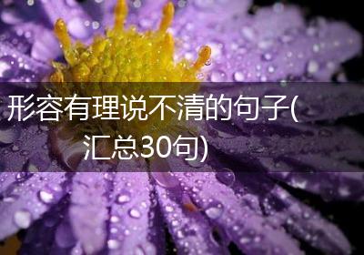 形容有理说不清的句子(汇总30句)