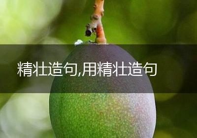 精壮造句,用精壮造句