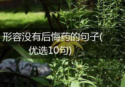 形容没有后悔药的句子(优选10句)