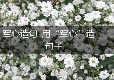军心造句_用“军心”造句子