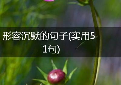 形容沉默的句子(实用51句)