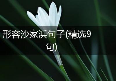 形容沙家浜句子(精选9句)
