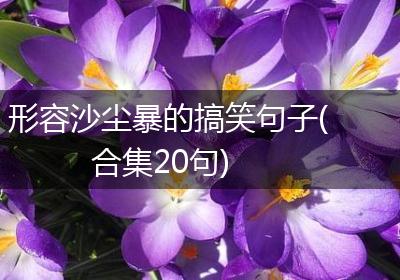 形容沙尘暴的搞笑句子(合集20句)