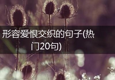 形容爱恨交织的句子(热门20句)