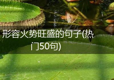 形容火势旺盛的句子(热门50句)