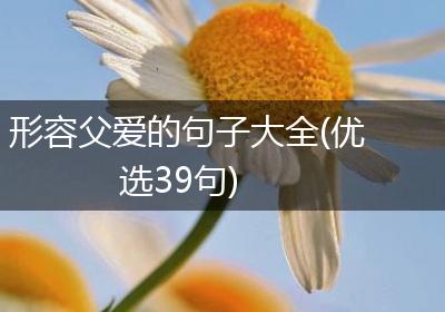 形容父爱的句子大全(优选39句)