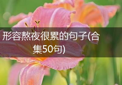 形容熬夜很累的句子(合集50句)