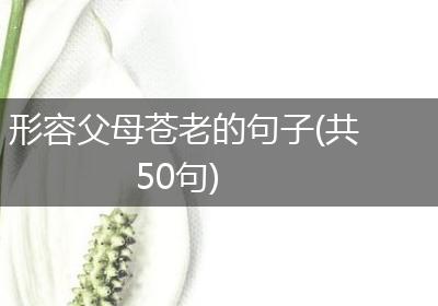 形容父母苍老的句子(共50句)