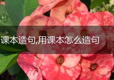 课本造句,用课本怎么造句
