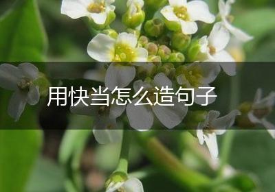 用快当怎么造句子