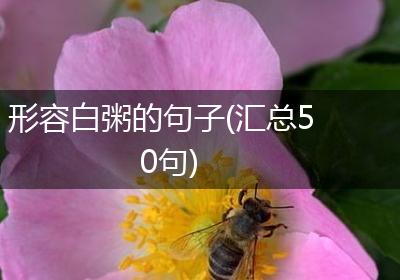 形容白粥的句子(汇总50句)