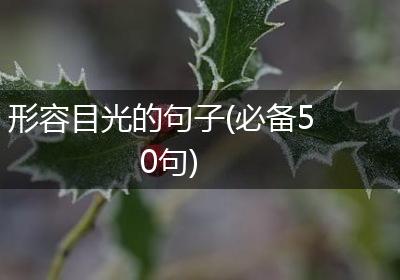 形容目光的句子(必备50句)
