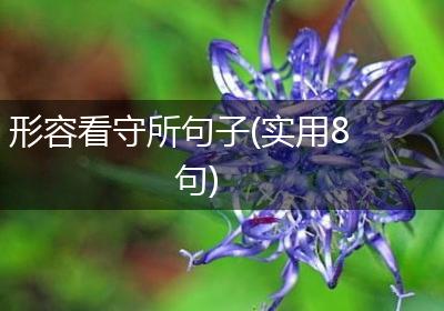 形容看守所句子(实用8句)