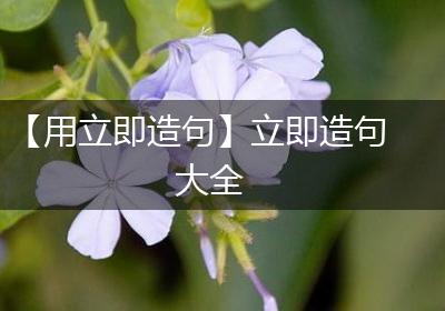 【用立即造句】立即造句大全