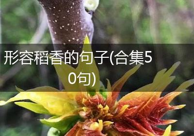 形容稻香的句子(合集50句)
