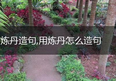 炼丹造句,用炼丹怎么造句