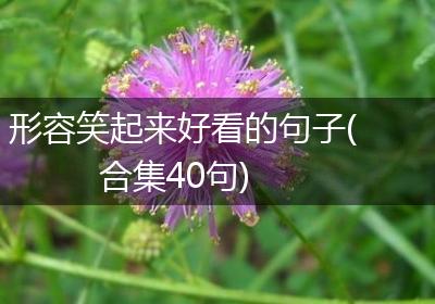 形容笑起来好看的句子(合集40句)