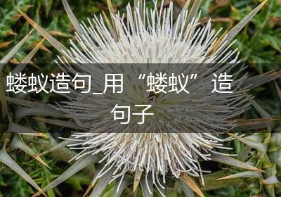 蝼蚁造句_用“蝼蚁”造句子