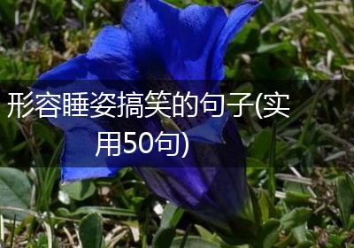 形容睡姿搞笑的句子(实用50句)