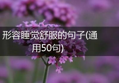 形容睡觉舒服的句子(通用50句)