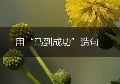 用“马到成功”造句