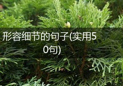 形容细节的句子(实用50句)
