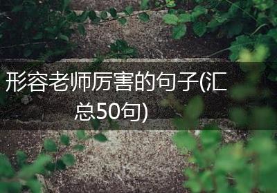 形容老师厉害的句子(汇总50句)