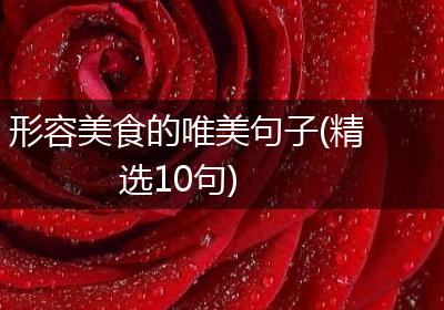 形容美食的唯美句子(精选10句)