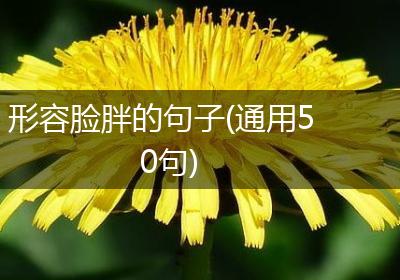 形容脸胖的句子(通用50句)