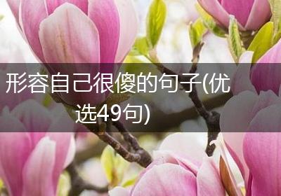 形容自己很傻的句子(优选49句)