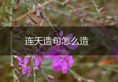 连天造句怎么造
