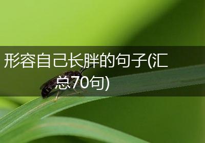 形容自己长胖的句子(汇总70句)