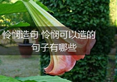 怜悯造句 怜悯可以造的句子有哪些