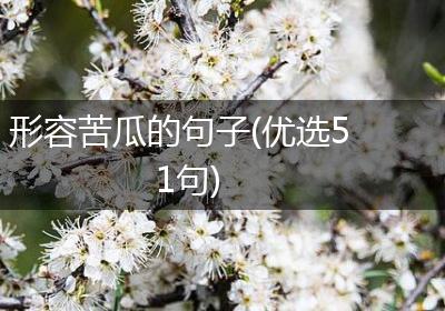形容苦瓜的句子(优选51句)