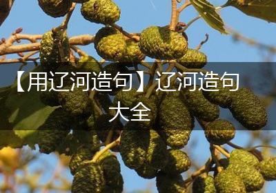【用辽河造句】辽河造句大全