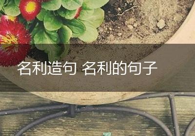 名利造句 名利的句子