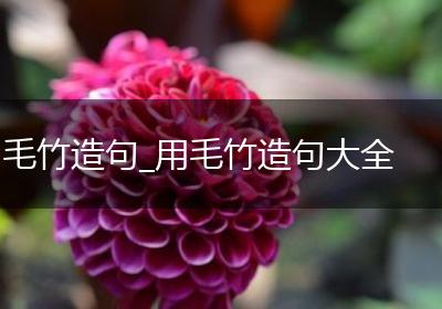 毛竹造句_用毛竹造句大全