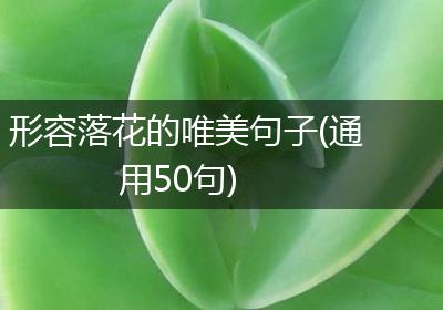 形容落花的唯美句子(通用50句)