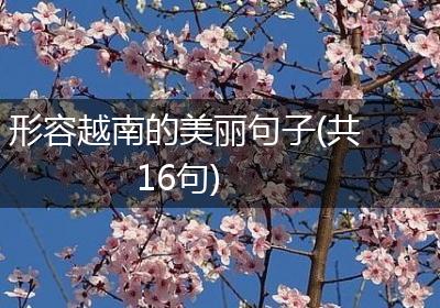 形容越南的美丽句子(共16句)