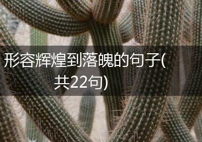 形容辉煌到落魄的句子(共22句)