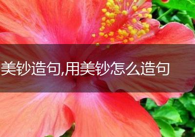 美钞造句,用美钞怎么造句