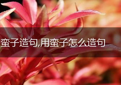 蛮子造句,用蛮子怎么造句