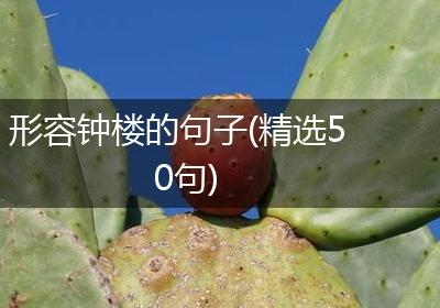 形容钟楼的句子(精选50句)