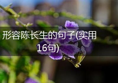形容陈长生的句子(实用16句)