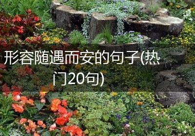 形容随遇而安的句子(热门20句)