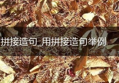 拼接造句_用拼接造句举例