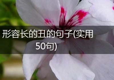 形容长的丑的句子(实用50句)